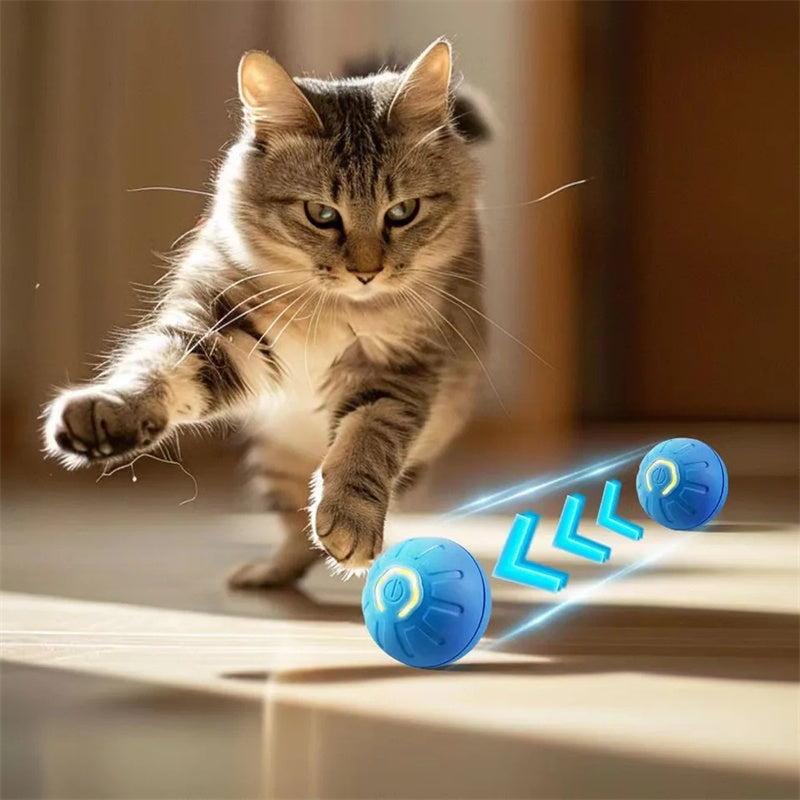 USB Rechargeable Interactive Dog Ball