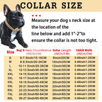 Cuban Link Diamond Dog Collar – photo 10
