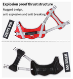 No-Pull Reflective Dog Harness & Leash Set