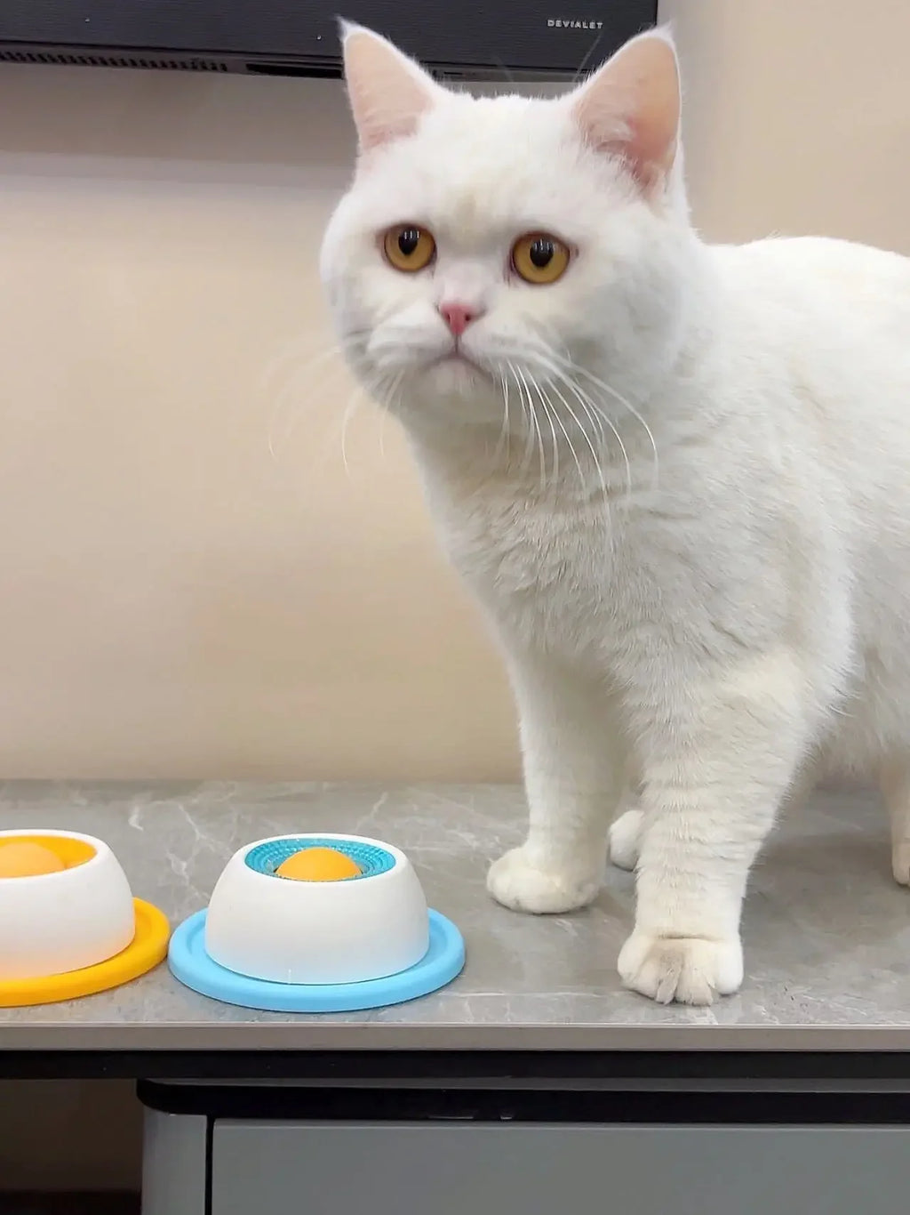 Slow-Feeder Lick Toy for Crates & Training