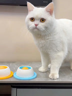 Slow-Feeder Lick Toy for Crates & Training