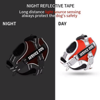 No-Pull Reflective Dog Harness & Leash Set