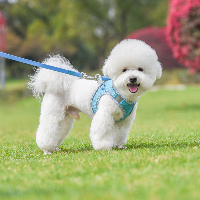 Reflective Mesh Dog Harness & Leash Set – photo 7