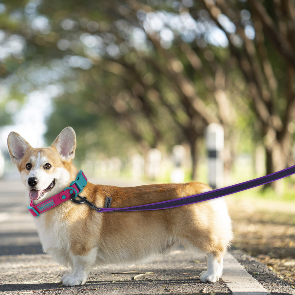 Long Training Dog Leash – Multiple Lengths – photo 7