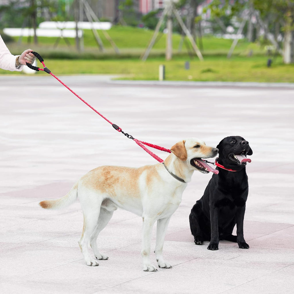 Tangle-Free Dual Dog Leash with 360° Swivel – photo 4