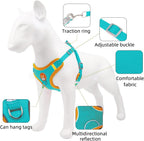 Reflective Harness & Leash Set for Small Dogs and Cats – photo 5