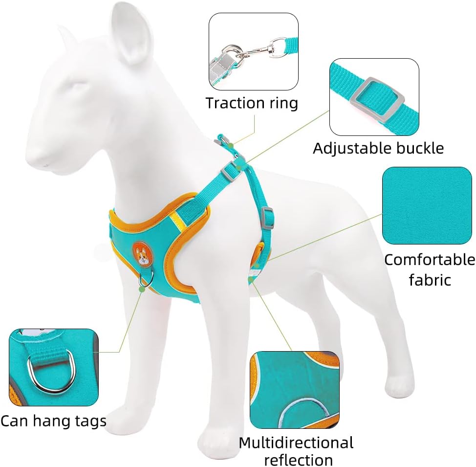 Reflective Harness & Leash Set for Small Dogs and Cats – photo 5