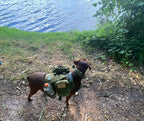 Tactical MOLLE Dog Harness Set with Pouches – photo 15