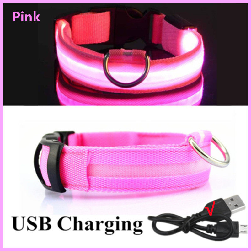 USB Rechargeable LED Safety Dog Collar