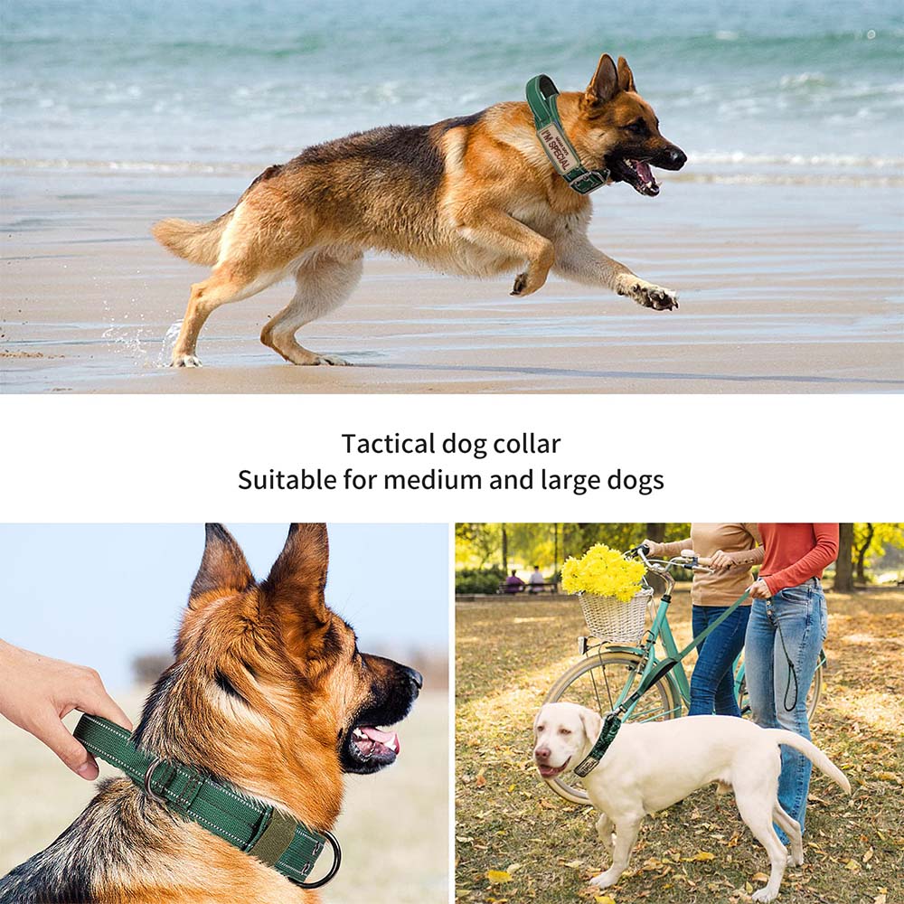 Heavy-Duty Tactical Dog Collar with Double Buckle – photo 9