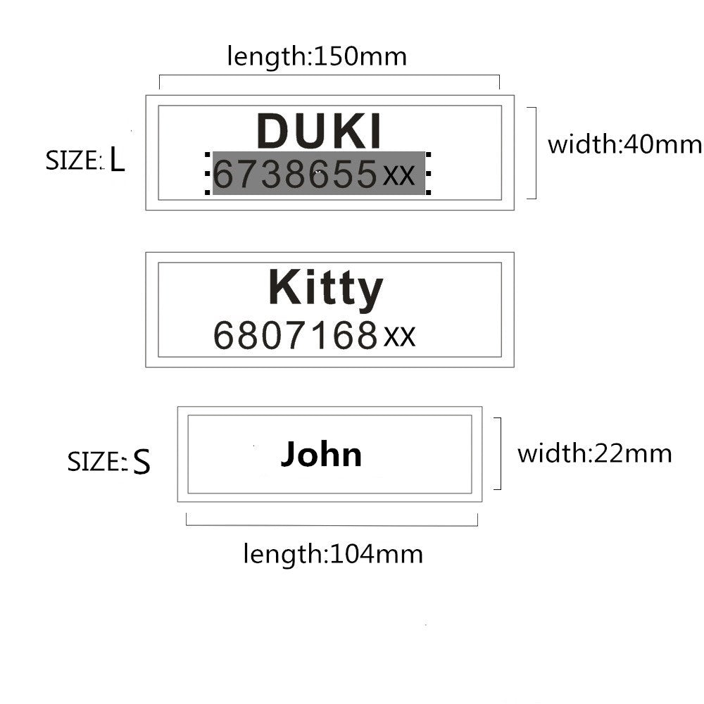 Personalized Dog Collar with Custom Name Patch