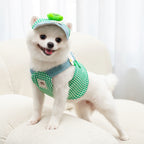 Duck & Frog Harness Set with Leash & Cap – Small Dogs & Cats