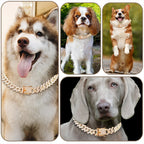 Cuban Link Diamond Dog Collar – photo 8