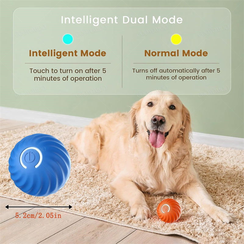 USB Rechargeable Interactive Dog Ball