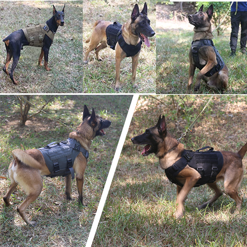 Heavy-Duty Tactical Dog Harness with Handle