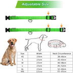 USB Rechargeable LED Safety Dog Collar
