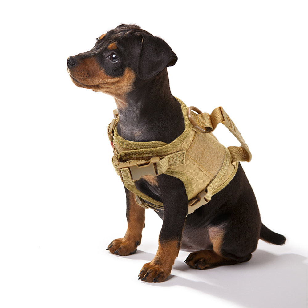 Tactical Harness & Leash Set for Small Pets