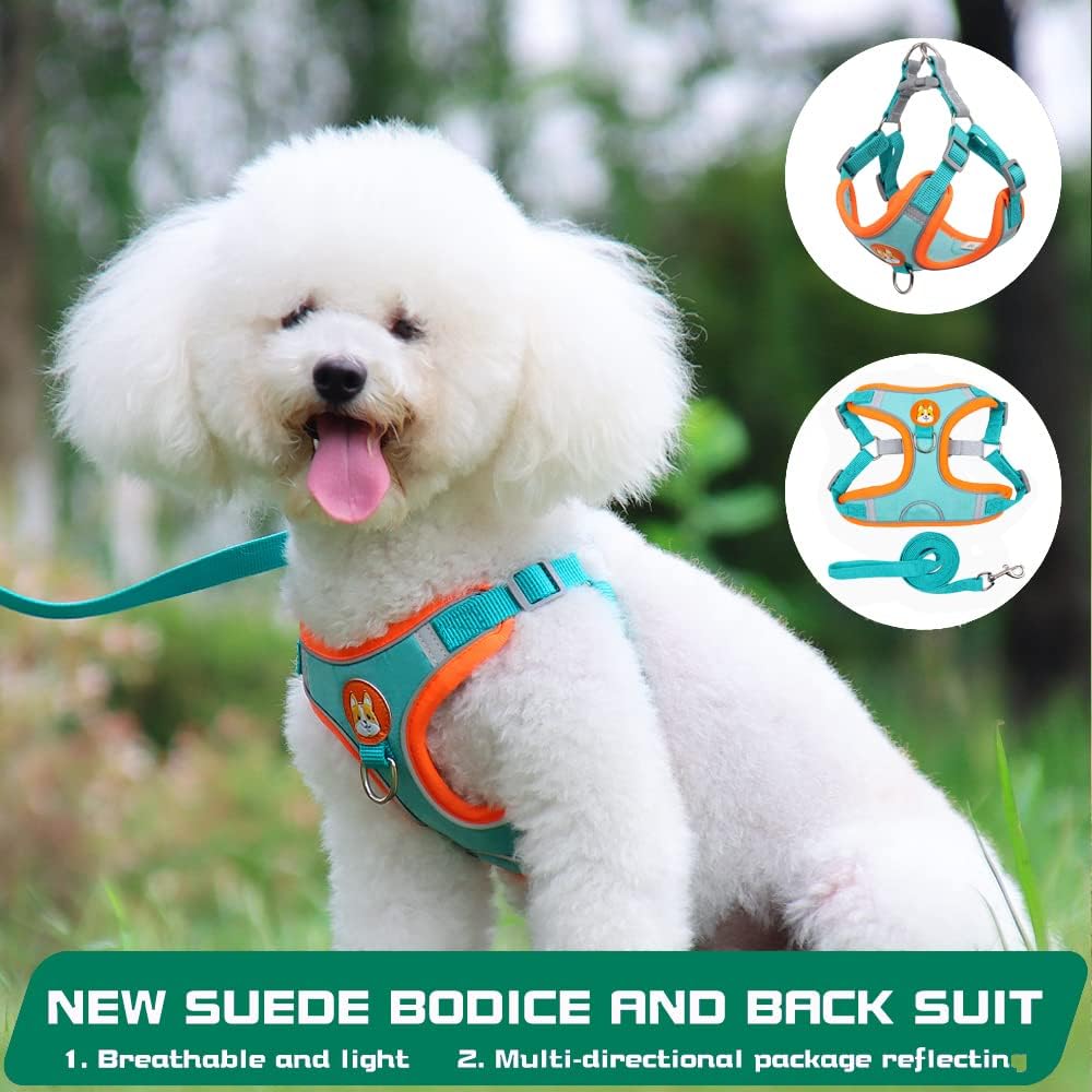 Reflective Harness & Leash Set for Small Dogs and Cats – photo 3
