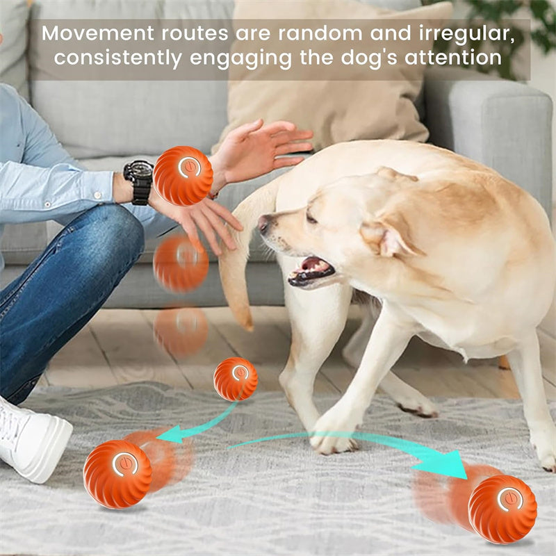 USB Rechargeable Interactive Dog Ball