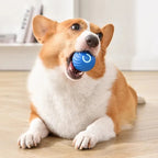 USB Rechargeable Interactive Dog Ball