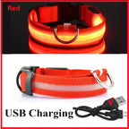 USB Rechargeable LED Safety Dog Collar