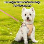 Reflective Mesh Dog Harness & Leash Set – photo 5