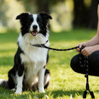 Multi-Grip Reflective Dog Leash – photo 8