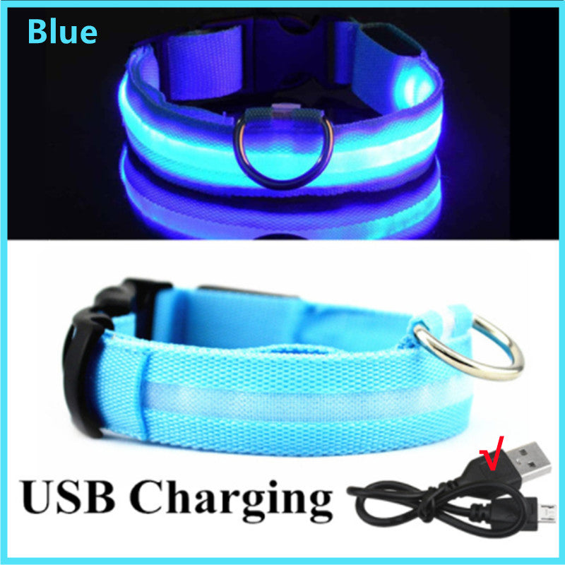 USB Rechargeable LED Safety Dog Collar