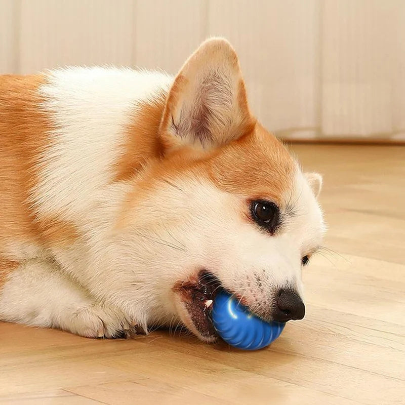 USB Rechargeable Interactive Dog Ball