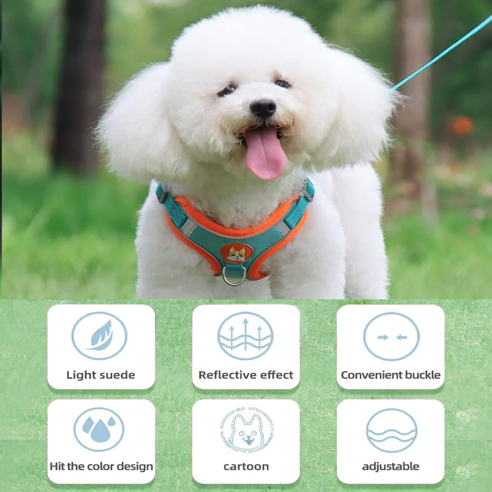 Reflective Harness & Leash Set for Small Dogs and Cats – photo 7