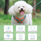 Reflective Harness & Leash Set for Small Dogs and Cats – photo 7