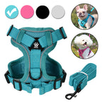 Reflective Mesh Harness & Leash Set for Small Pets