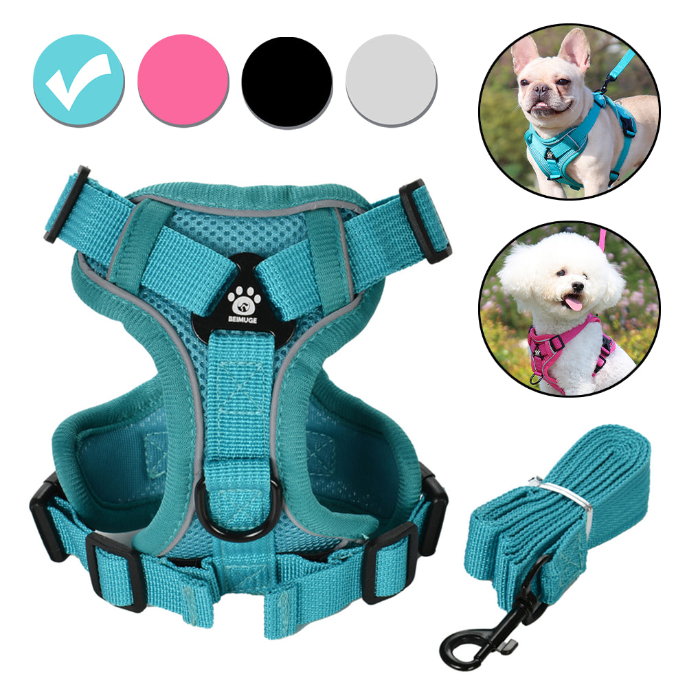 Reflective Mesh Harness & Leash Set for Small Pets