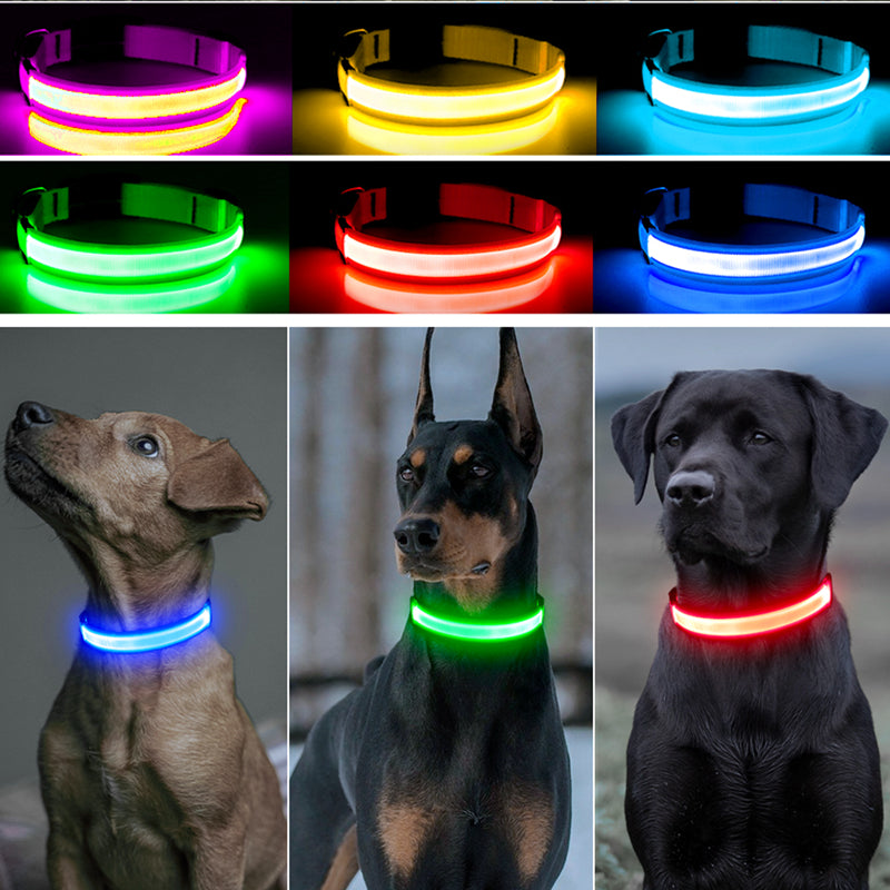 USB Rechargeable LED Safety Dog Collar