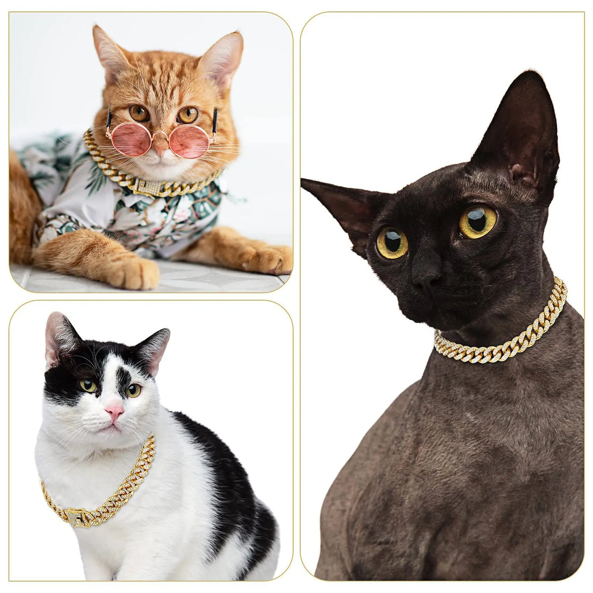 Cuban Link Diamond Dog Collar – photo 3