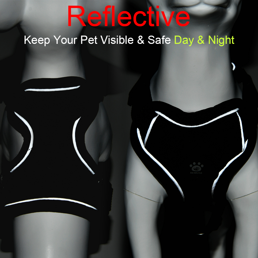 Reflective Mesh Harness & Leash Set for Small Pets – photo 4