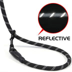 Reflective Dog Leash with Padded Handle