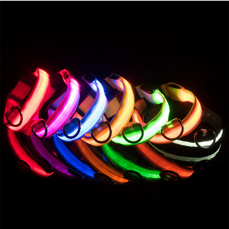 USB Rechargeable LED Safety Dog Collar