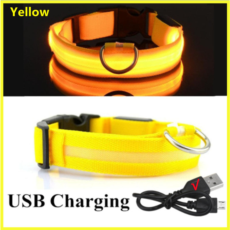 USB Rechargeable LED Safety Dog Collar