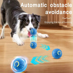 USB Rechargeable Interactive Dog Ball