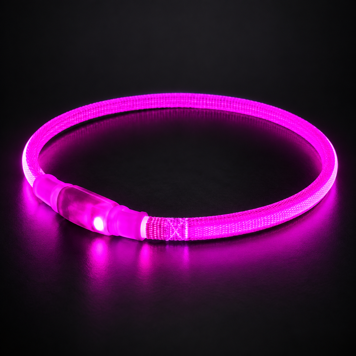 Magenta USB rechargeable LED dog collar
