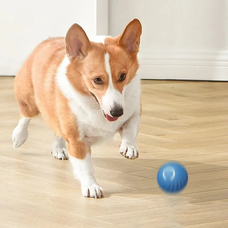 USB Rechargeable Interactive Dog Ball