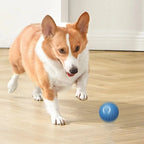 USB Rechargeable Interactive Dog Ball