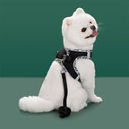 Reflective Mesh Dog Harness & Leash Set – photo 15