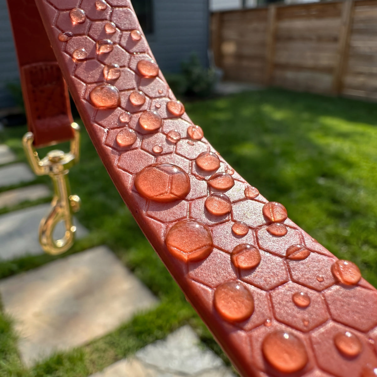 Waterproof PVC Dog Leash with Gold-Tone Buckle – photo 11
