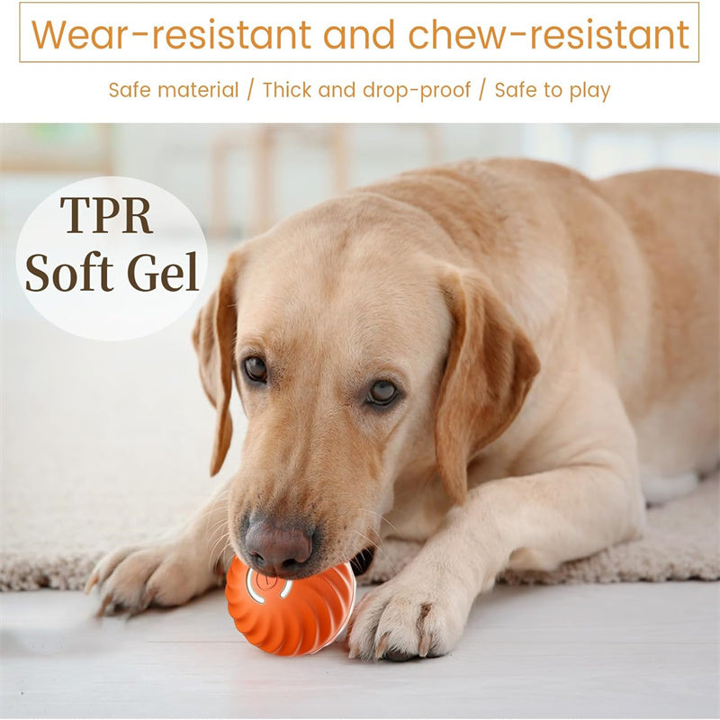 USB Rechargeable Interactive Dog Ball