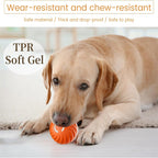 USB Rechargeable Interactive Dog Ball