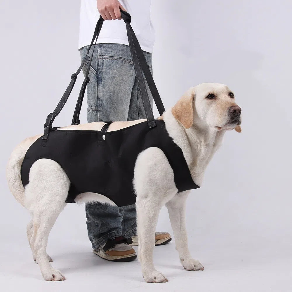 Dog Lift Support Harness – photo 10