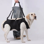 Dog Lift Support Harness – photo 10