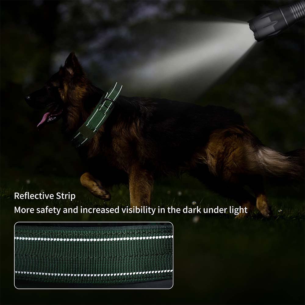 Heavy-Duty Tactical Dog Collar with Double Buckle – photo 5